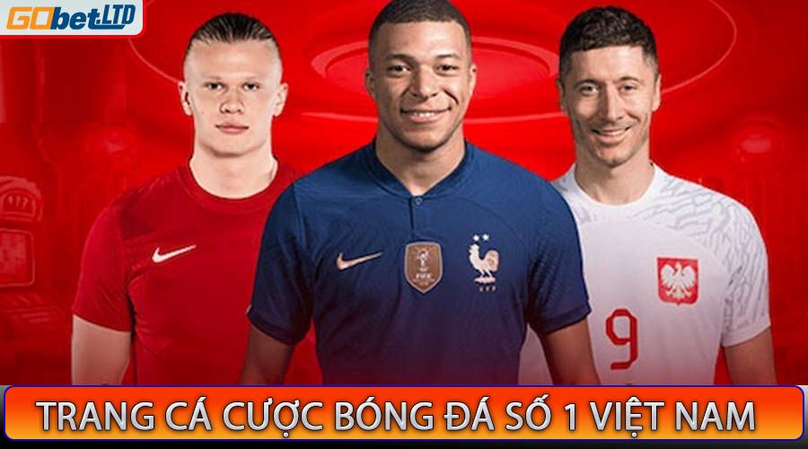 Trang cá cược bóng đá số 1 Việt Nam